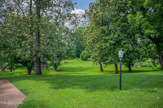 105 N Church St, Sparta, TN 38583 - view of home's community with a lawn