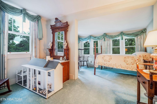 105 N Church St, Sparta, TN 38583 - carpeted bedroom with multiple windows and crown molding