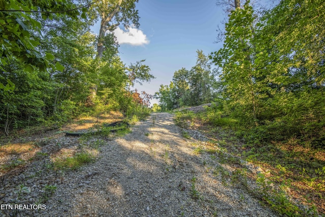 5309 Nickle Rd, Knoxville, TN 37921 - photo 6