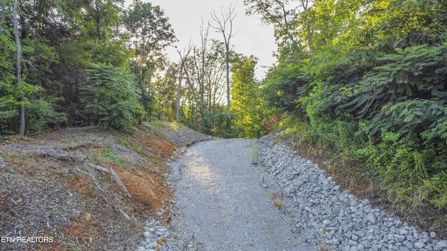 5309 Nickle Rd, Knoxville, TN 37921 - photo 7