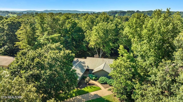 5320 Riverbriar Rd, Knoxville, TN 37919 - photo 41