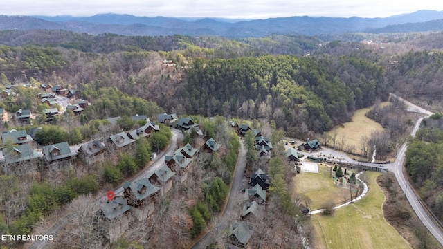 1924 Cougar Crossing Way, Sevierville, TN 37862 - photo 2