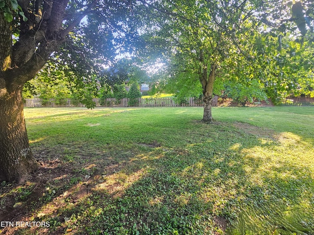 1611 Hollister Dr, Alcoa, TN 37701 - photo 37