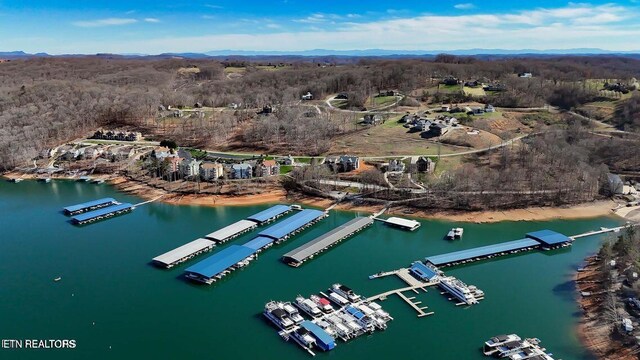 Harbour Club Pl, Andersonville, TN 37705 - photo 10
