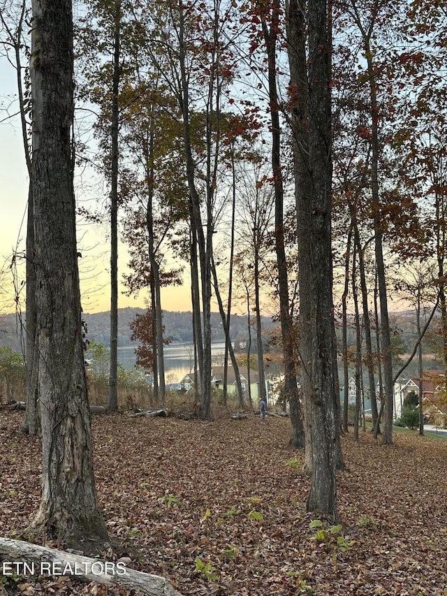 Harbour Club Pl, Andersonville, TN 37705 - photo 6
