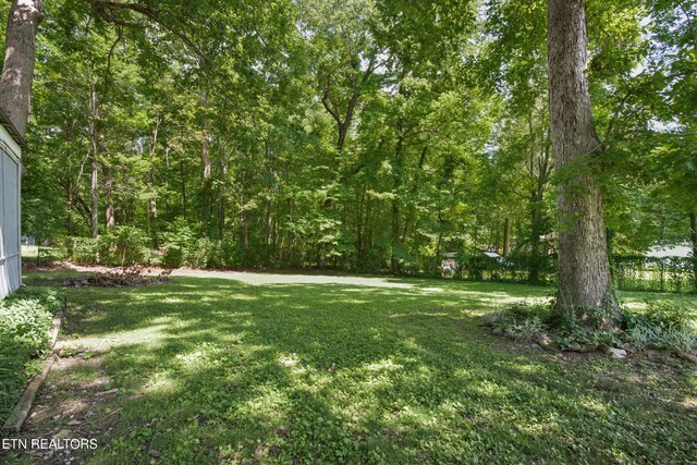 1047 Phillips Dr, Monterey, TN 38574 - photo 22