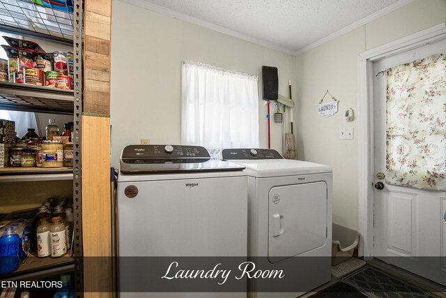1047 Phillips Dr, Monterey, TN 38574 - photo 20