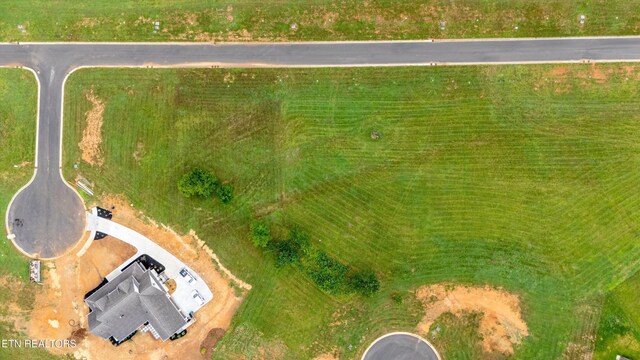 2705 Chestnut Ln, Loudon, TN 37774 - photo 3