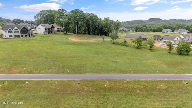 2705 Chestnut Ln, Loudon, TN 37774 - photo 4