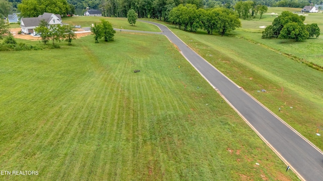 2705 Chestnut Ln, Loudon, TN 37774 - photo 6