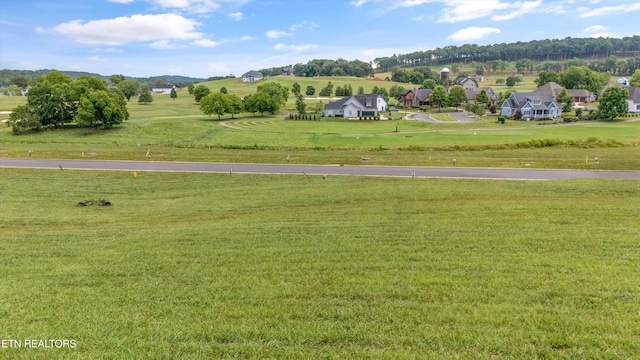 2705 Chestnut Ln, Loudon, TN 37774 - photo 8