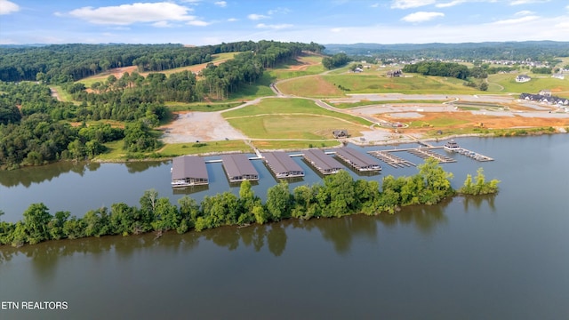 2705 Chestnut Ln, Loudon, TN 37774 - photo 25