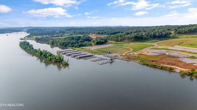 2705 Chestnut Ln, Loudon, TN 37774 - photo 26