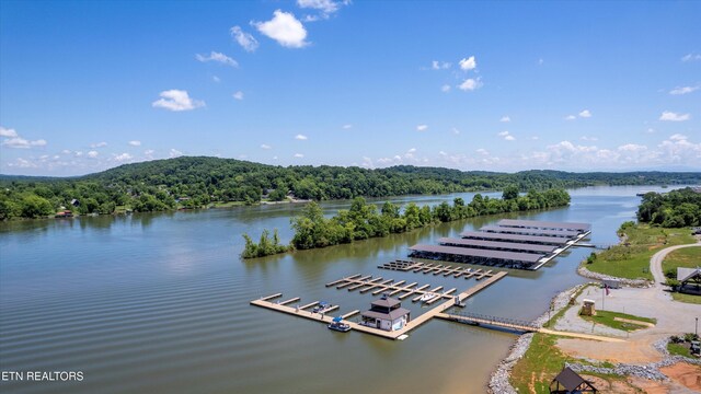 2705 Chestnut Ln, Loudon, TN 37774 - photo 29