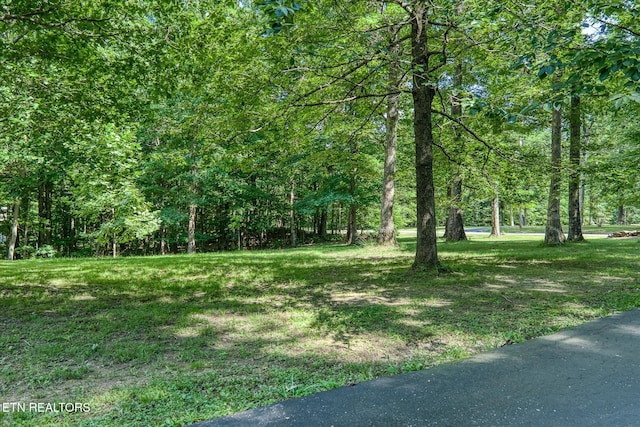 1133 W Laurel Way, Monterey, TN 38574 - photo 7