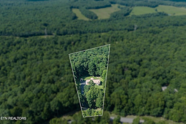 1133 W Laurel Way, Monterey, TN 38574 - photo 10