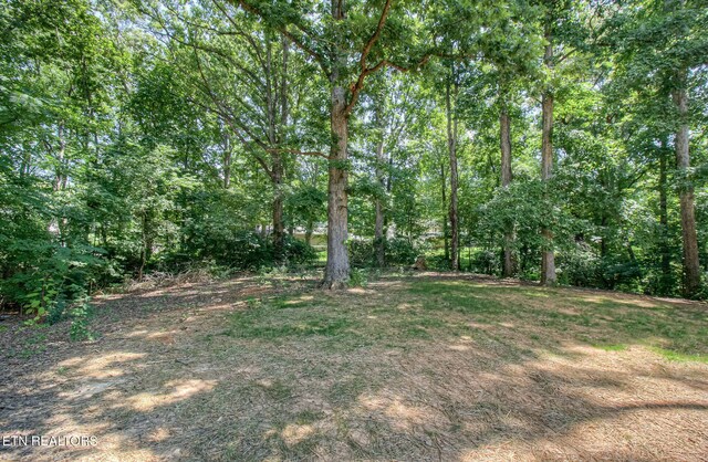 516 Golden Harvest Rd, Knoxville, TN 37934