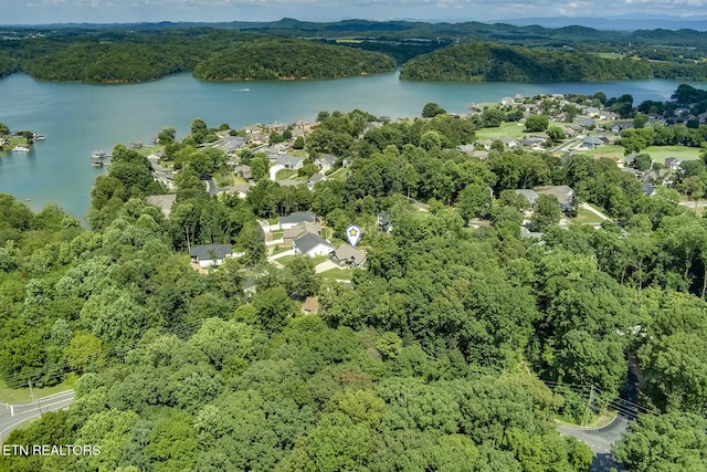 244 Chuniloti Way, Loudon, TN 37774 - photo 48