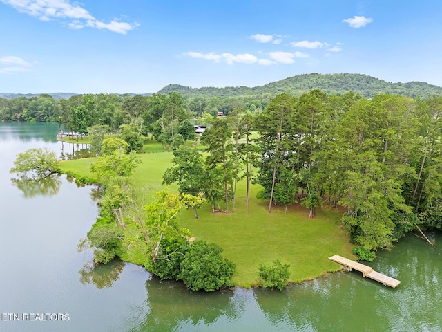 191 Onlake Dr, Kingston, TN 37763 - photo 2