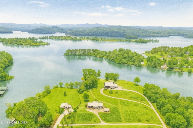 191 Onlake Dr, Kingston, TN 37763 - photo 34