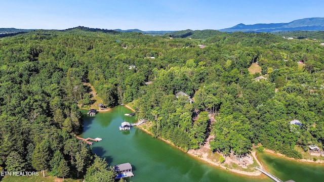 2517 Angler Way, Sevierville, TN 37876 - photo 42