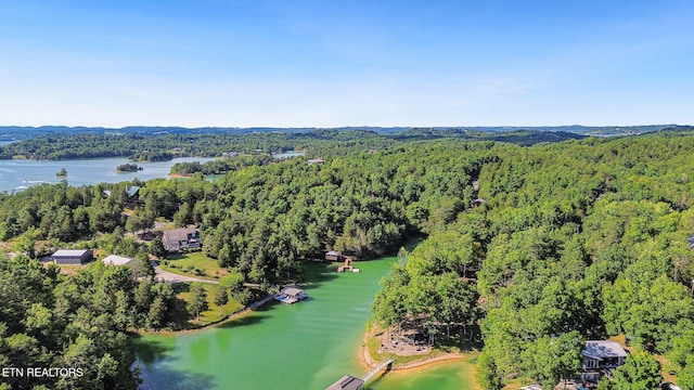 2517 Angler Way, Sevierville, TN 37876 - photo 43