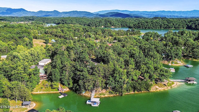 2517 Angler Way, Sevierville, TN 37876 - photo 44