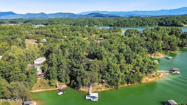 2517 Angler Way, Sevierville, TN 37876 - photo 45