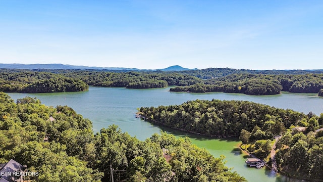 2517 Angler Way, Sevierville, TN 37876 - photo 53