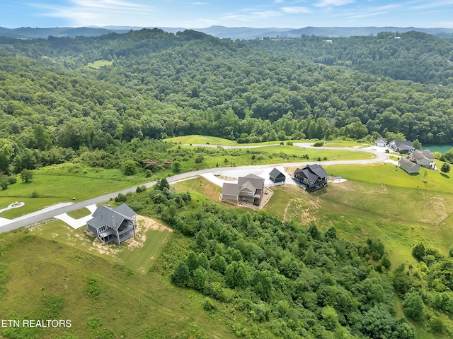 LOT98 Pinnacle Ln, Lafollette, TN 37766 - photo 16