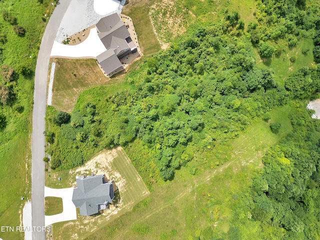 LOT98 Pinnacle Ln, Lafollette, TN 37766 - photo 12