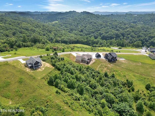 LOT98 Pinnacle Ln, Lafollette, TN 37766 - photo 11