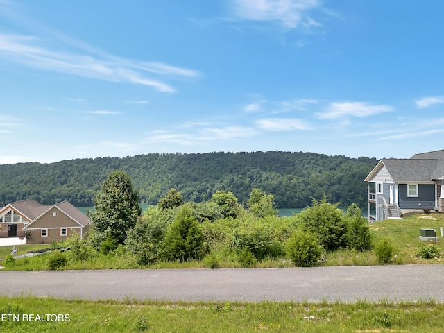 LOT98 Pinnacle Ln, Lafollette, TN 37766 - photo 2