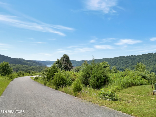 LOT98 Pinnacle Ln, Lafollette, TN 37766 - photo 10