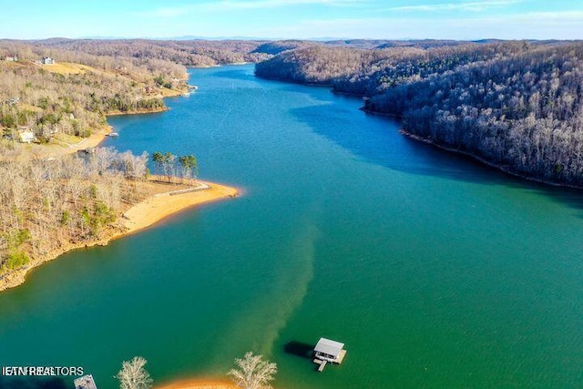 LOT98 Pinnacle Ln, Lafollette, TN 37766 - photo 8
