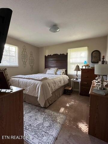 589 Broyles Rd, Spring City, TN 37381