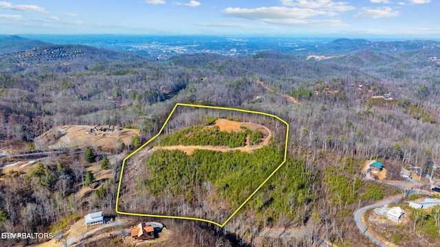 LOT3 Cove Mountain Rd, Gatlinburg, TN 37738 - photo 3