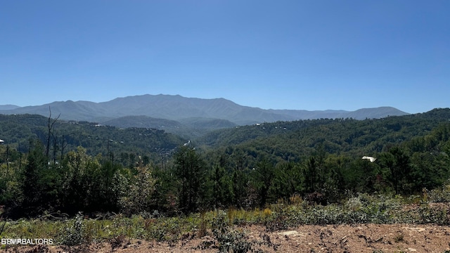 LOT3 Cove Mountain Rd, Gatlinburg, TN 37738 - photo 4