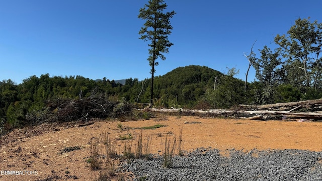 LOT3 Cove Mountain Rd, Gatlinburg, TN 37738 - photo 10