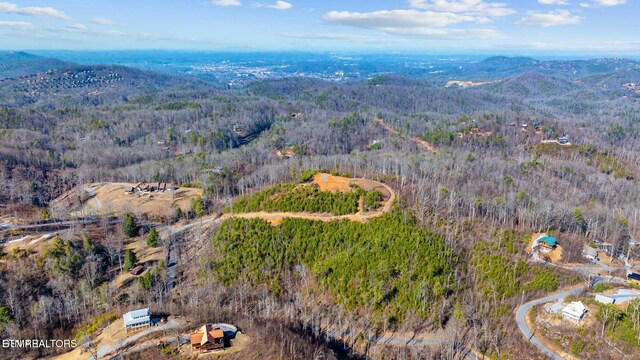 LOT3 Cove Mountain Rd, Gatlinburg, TN 37738 - photo 11