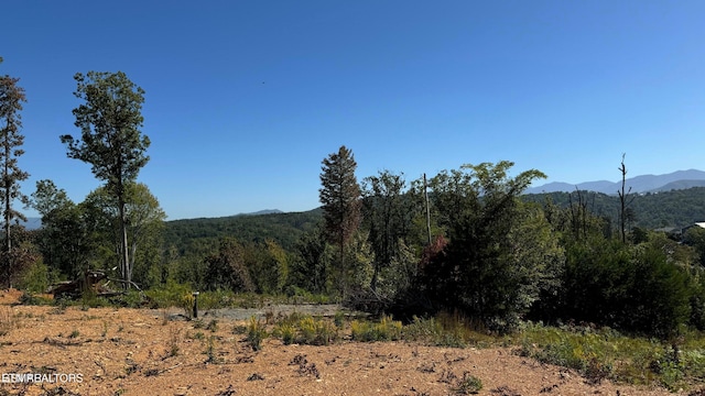 LOT3 Cove Mountain Rd, Gatlinburg, TN 37738 - photo 12