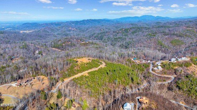 LOT3 Cove Mountain Rd, Gatlinburg, TN 37738 - photo 13
