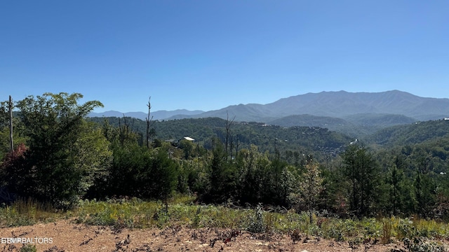 LOT3 Cove Mountain Rd, Gatlinburg, TN 37738 - photo 15