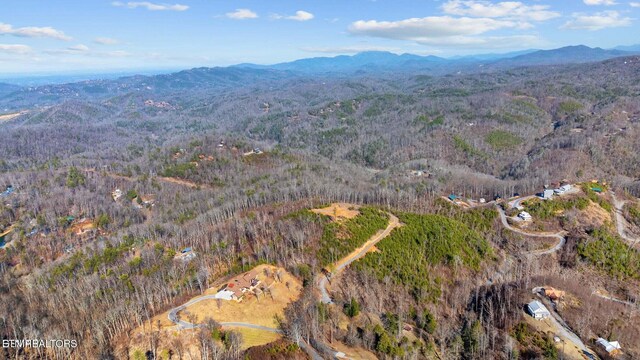 LOT3 Cove Mountain Rd, Gatlinburg, TN 37738 - photo 19