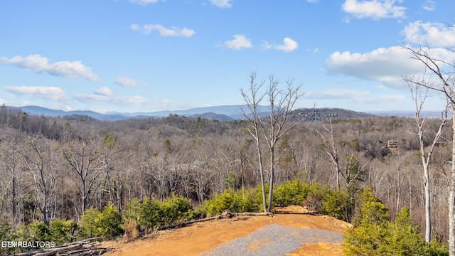 LOT3 Cove Mountain Rd, Gatlinburg, TN 37738 - photo 20