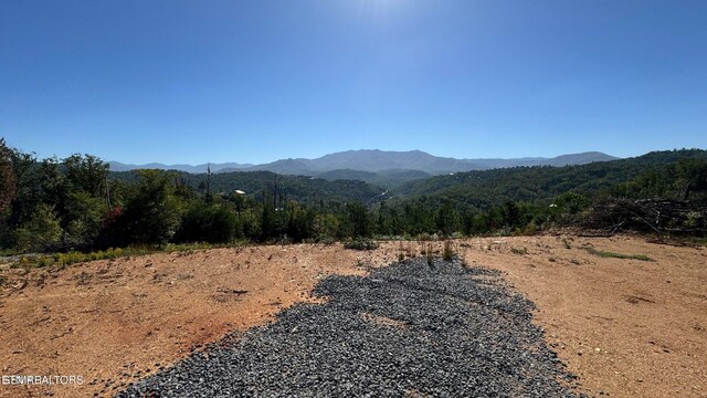 LOT3 Cove Mountain Rd, Gatlinburg, TN 37738 - photo 21