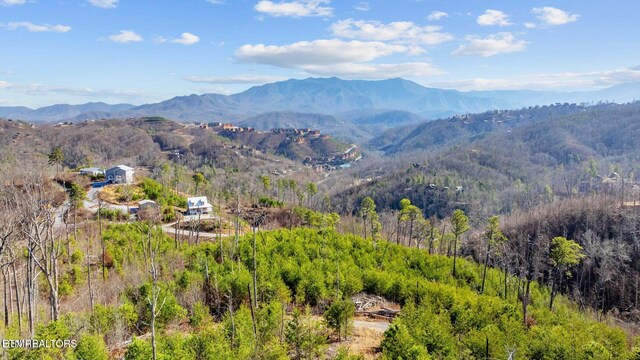 LOT3 Cove Mountain Rd, Gatlinburg, TN 37738 - photo 22