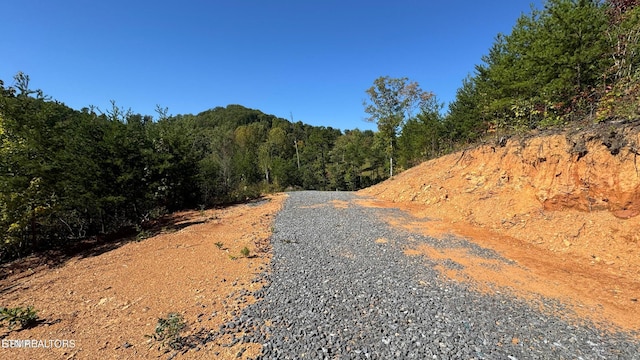 LOT3 Cove Mountain Rd, Gatlinburg, TN 37738 - photo 25