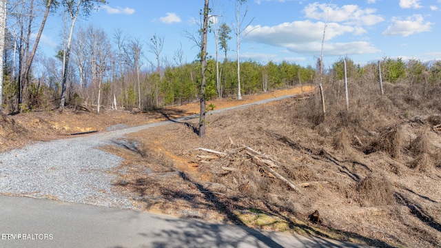 LOT3 Cove Mountain Rd, Gatlinburg, TN 37738 - photo 26