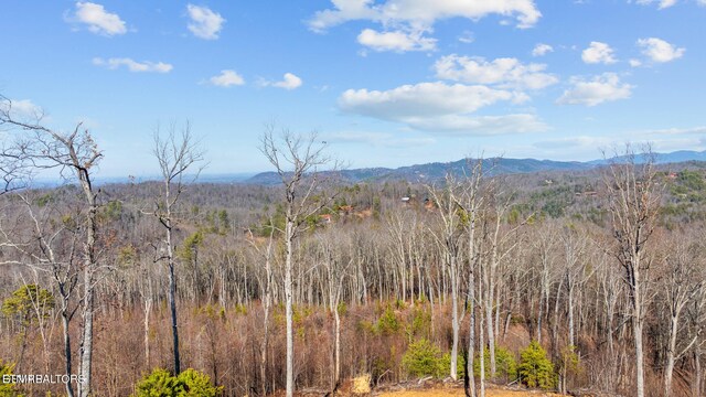 LOT3 Cove Mountain Rd, Gatlinburg, TN 37738 - photo 28